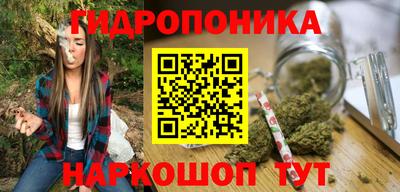 индика Волжск